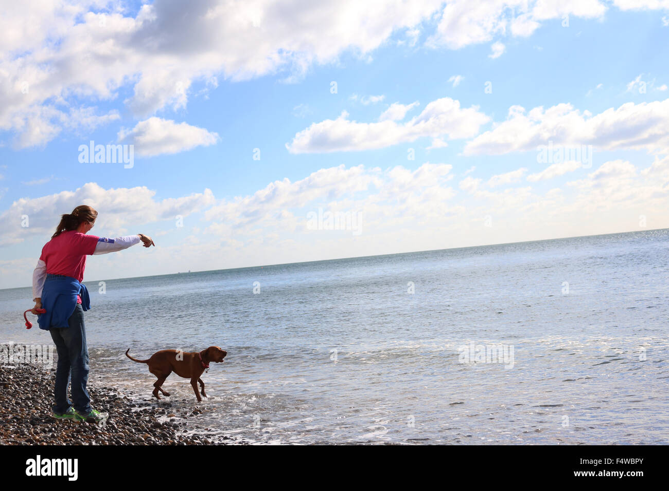 Le donne con un cane in spiaggia in una giornata di sole, guardando verso l'orizzonte. Foto Stock