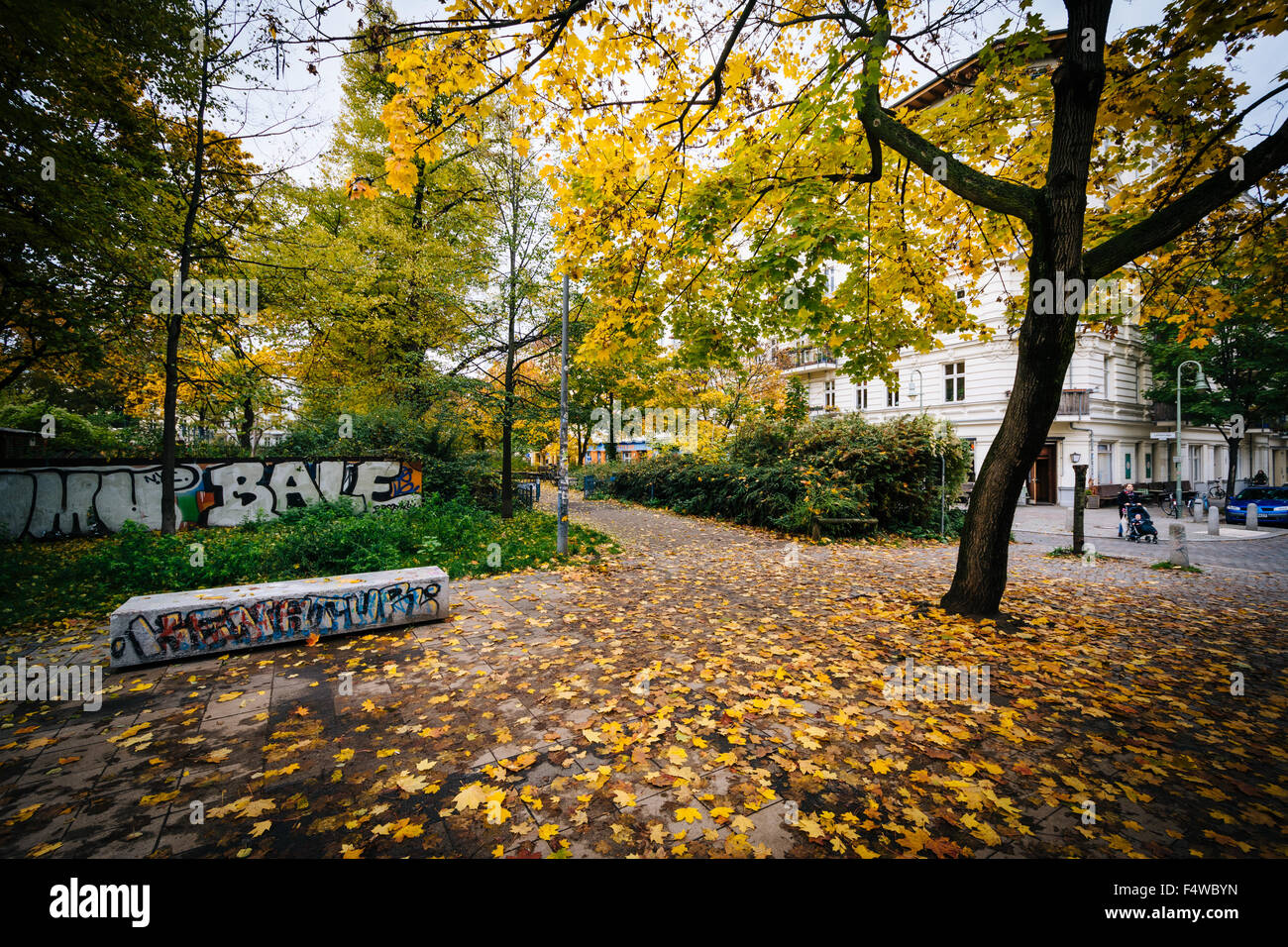 Graffiti e Colore di autunno a Helmholtzplatz, in Prenzlauer Berg di Berlino, Germania. Foto Stock
