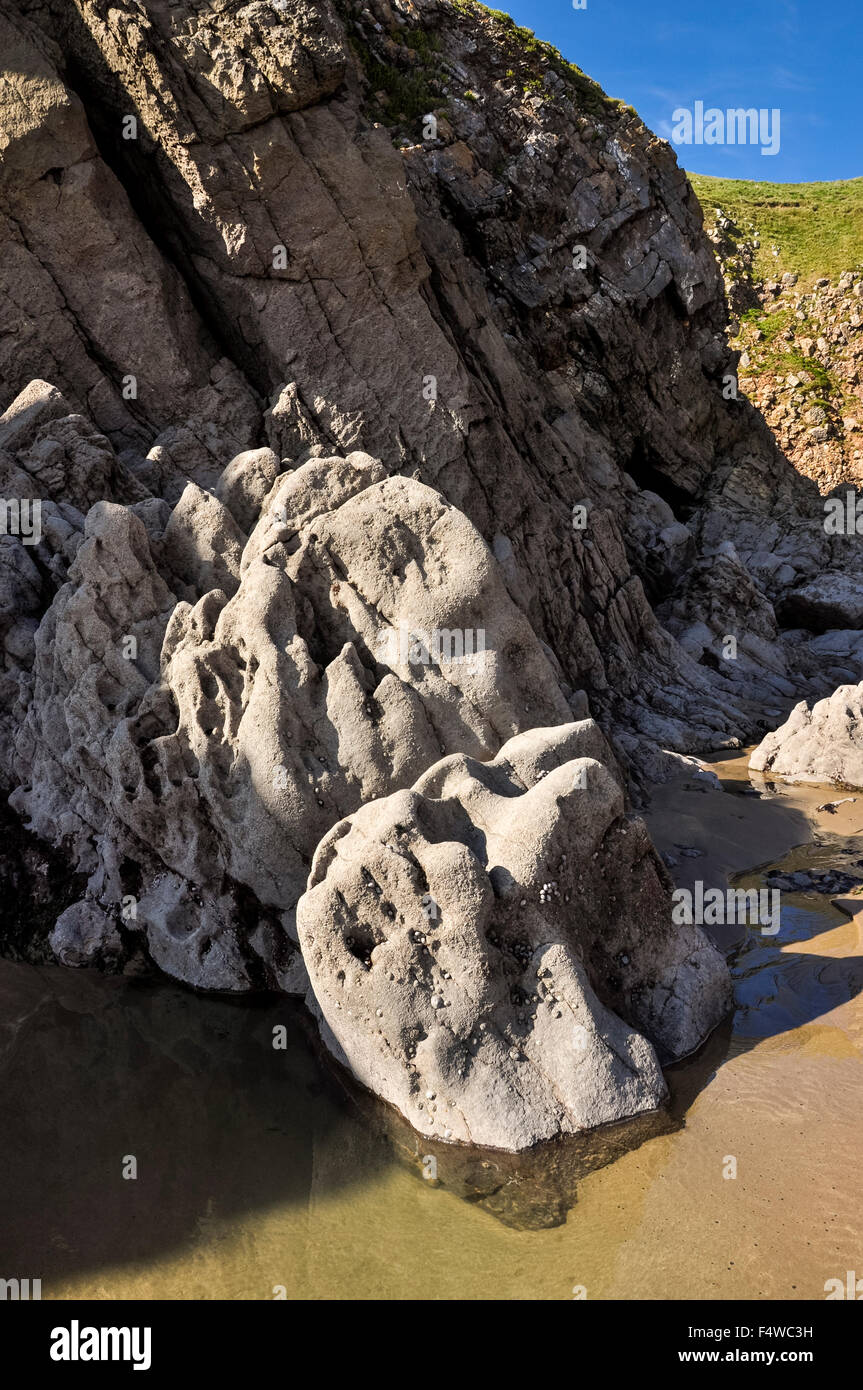 Geologia alla Bullslaughter bay in Pembrokeshire, Galles. Scogli colorati e le formazioni rocciose. Foto Stock