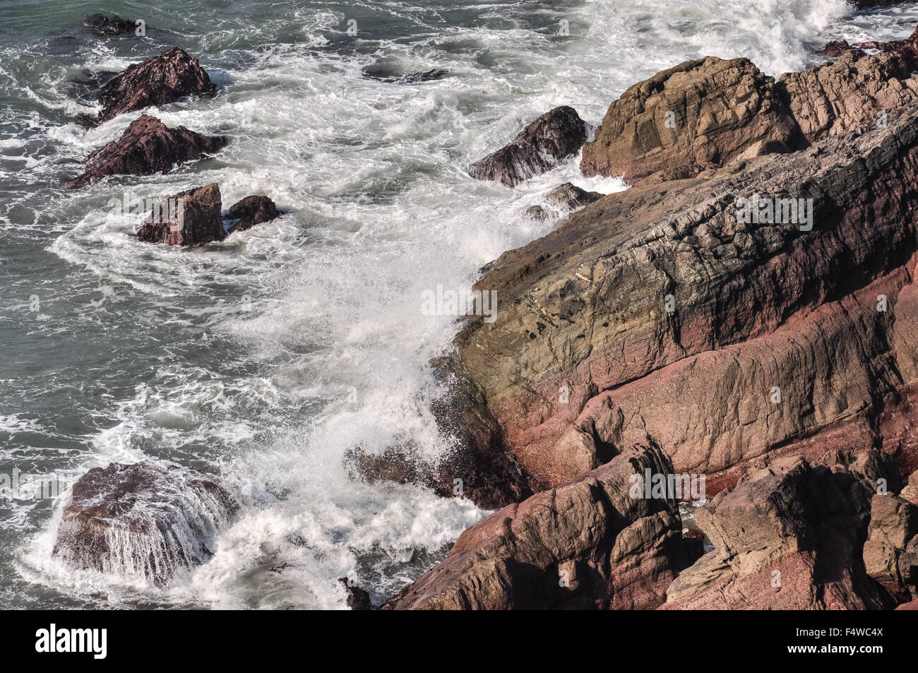 Onde che si infrangono su rocce di arenaria a St Annes Head a Pembrokeshire, Galles. Foto Stock