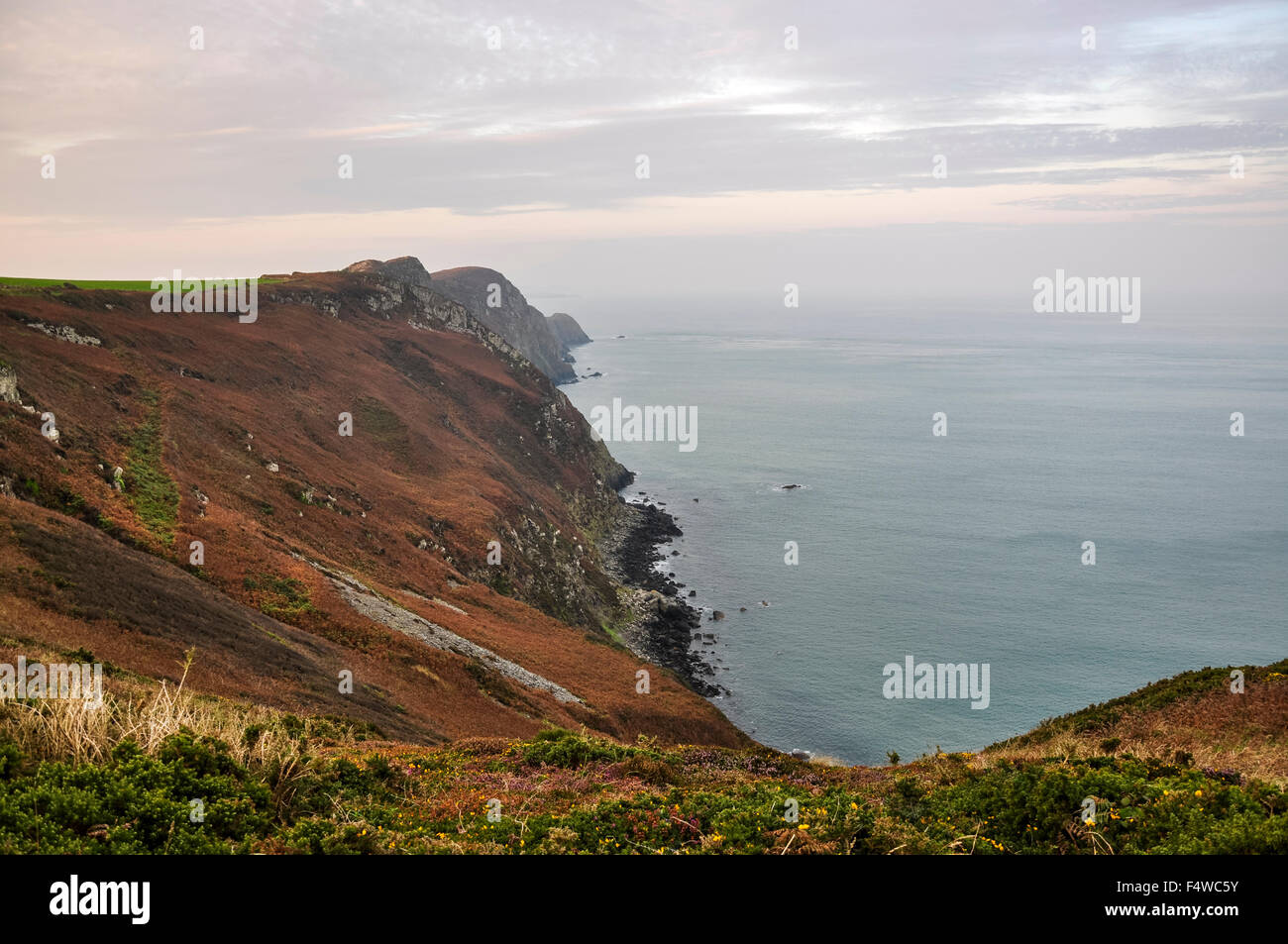 Bella Pembrokeshire costa al Pwll Deri, West Wales. Dolci colori su una mattina autunnale che guarda al mare. Foto Stock