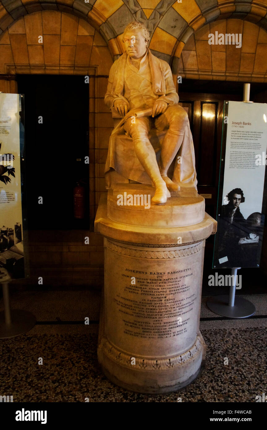 Londra, Regno Unito. Xvii oct, 2015. Statua di Sir Joseph Banks, un naturalista inglese e botanico, che hanno preso parte al capitano James Cook il primo viaggio, adopera 1768-1771. Museo di Storia Naturale di Londra, Regno Unito, il 18 ottobre 2015. © Libor Sojka/CTK foto/Alamy Live News Foto Stock