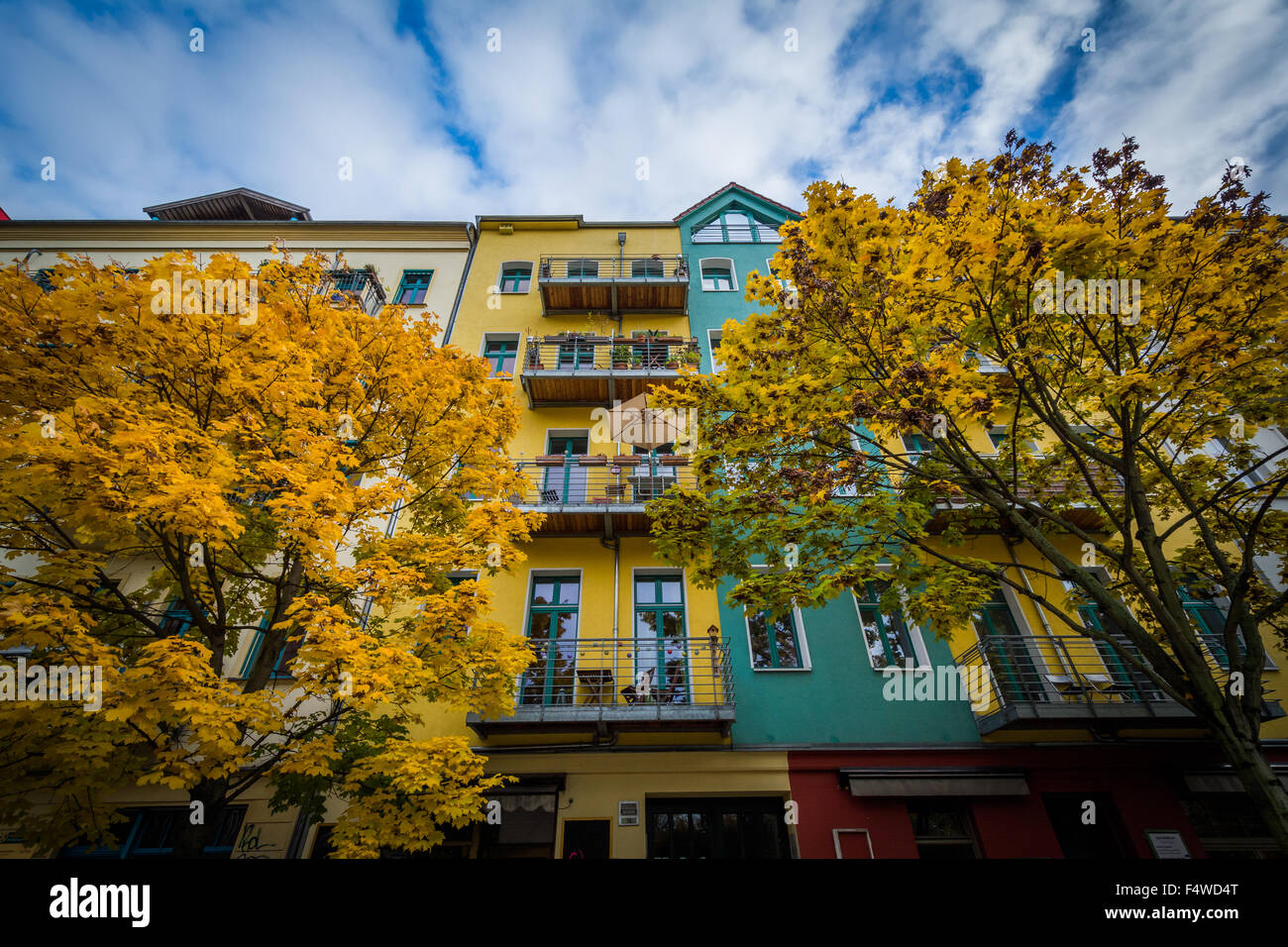 Colore di autunno ed edifici lungo Dunckerstraße, in Prenzlauer Berg di Berlino, Germania. Foto Stock