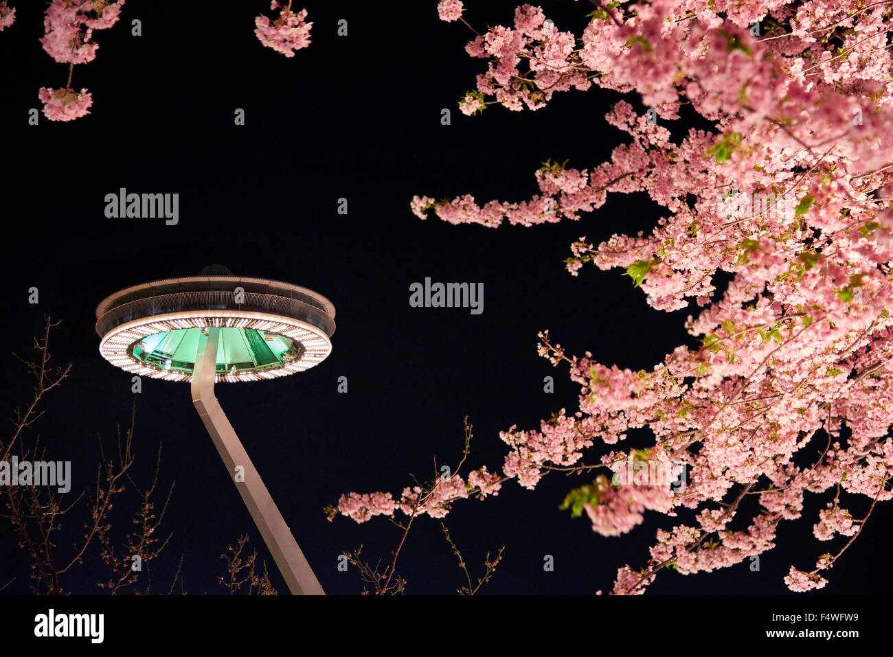 Piattaforma osservatorio crescente 'Isola Fuji' e fiori in fiore al parco Nabana No Sato in Kuwana, Giappone. Scenario notturno primaverile. Foto Stock