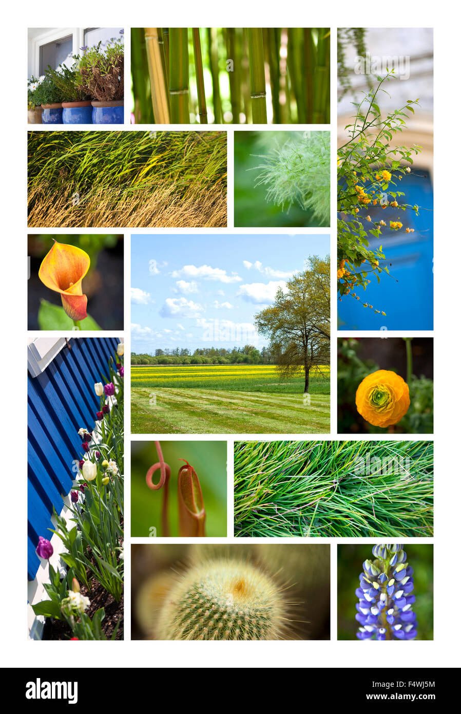 Paesaggi, parchi e fiori su un collage Foto Stock