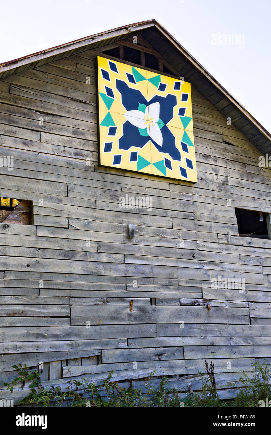 Un vecchio fienile in legno decorato con una trapunta blocco sul panno percorsi nei pressi di Burnsville, North Carolina. La trapunta sentieri onore a mano disegni quilt della Appalachian rurale regione. Foto Stock