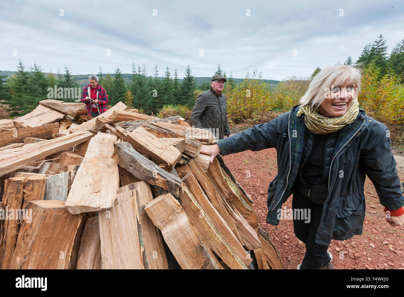 Foresta di Dean, Gloucestershire, UK. 23 ottobre, 2015. Maddalena Jetelova, che ha installato "Luogo" (localmente noto come giganti sedia) sovrintende la costruzione del morsetto di carbone con legno di scultura come originariamente previsto nel 1986. Magdalena Jetelove detto 'Finalmente dopo 30 anni, posso iniziare". Credito: David Broadbent/Alamy Live News Foto Stock