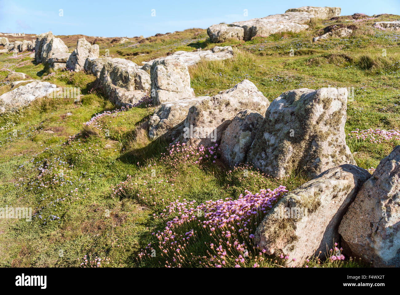 Recinzione rocciosa in un paesaggio costiero a Lands End, Cornovaglia, Inghilterra, Regno Unito Foto Stock