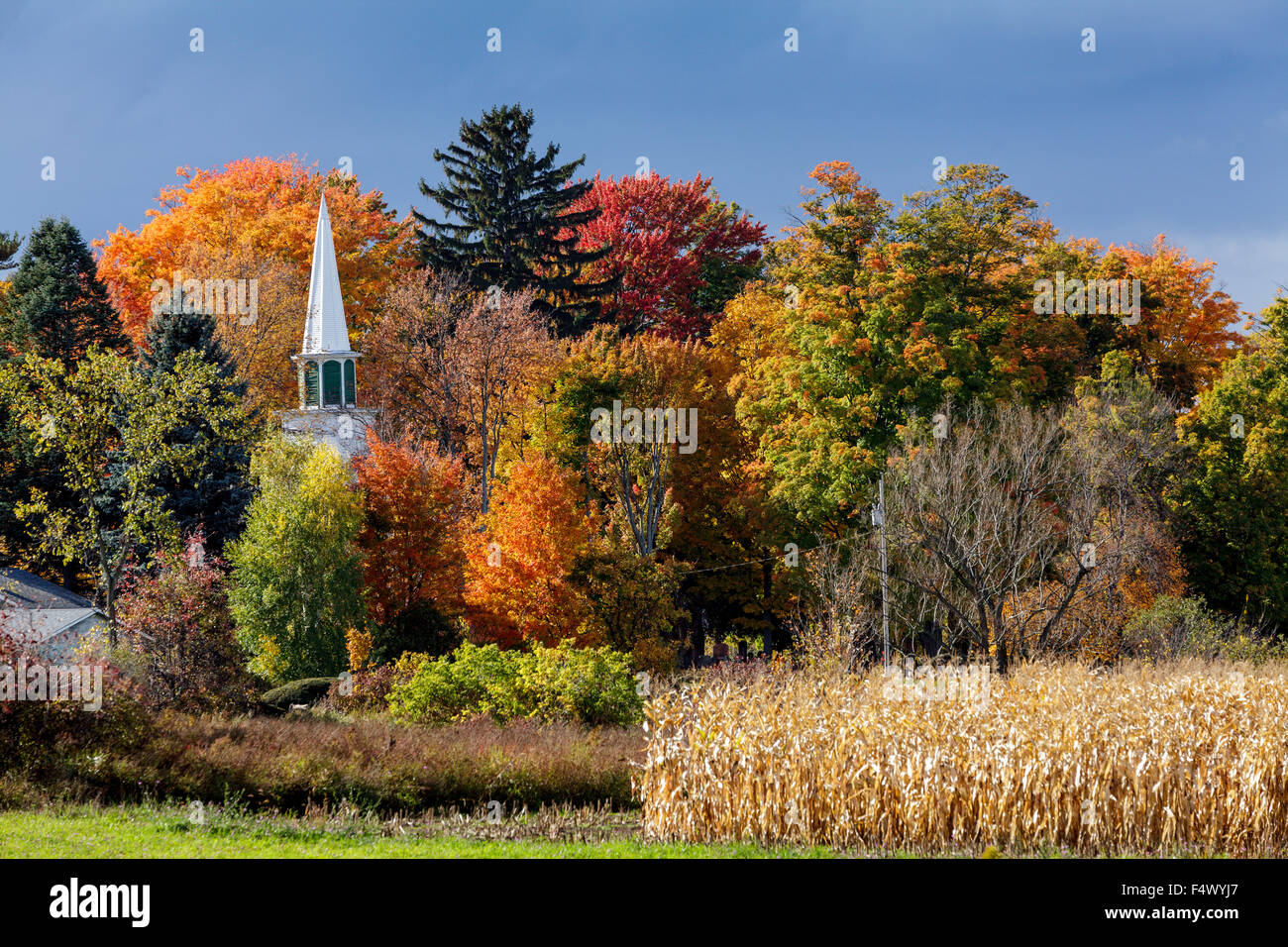 Caduta delle foglie, Mohawk Valley, nello Stato di New York, Stati Uniti d'America Foto Stock