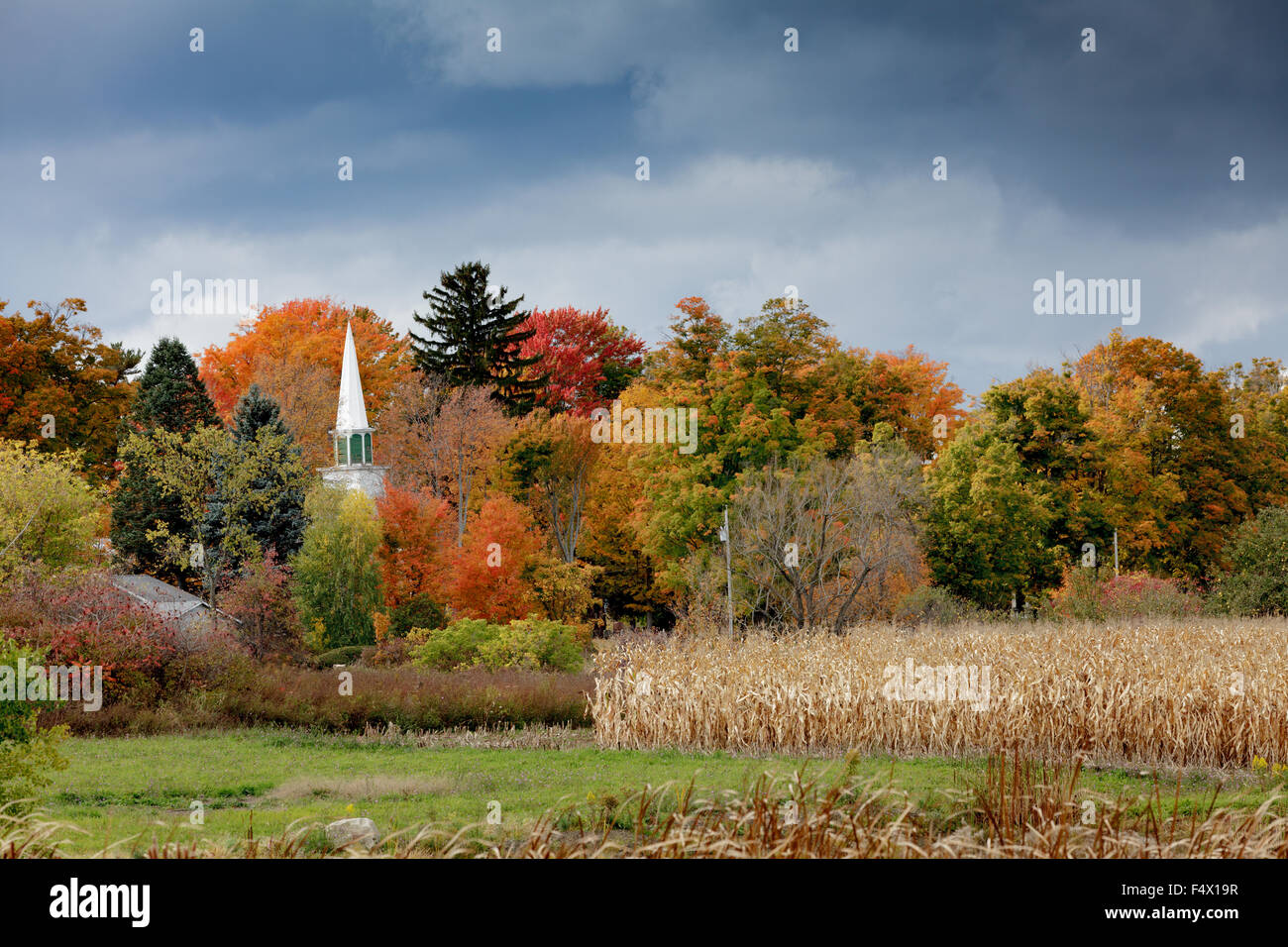 Caduta delle foglie, Mohawk Valley, nello Stato di New York, Stati Uniti d'America Foto Stock