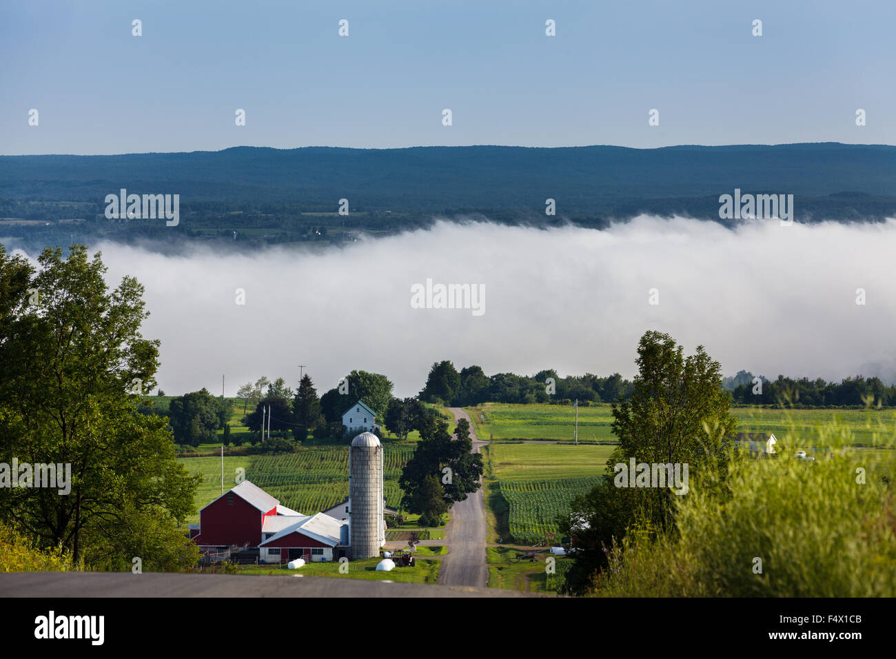 Nebbia di mattina si siede su Mohawk River farm paese , Montgomery County, nello Stato di New York, Stati Uniti d'America Foto Stock