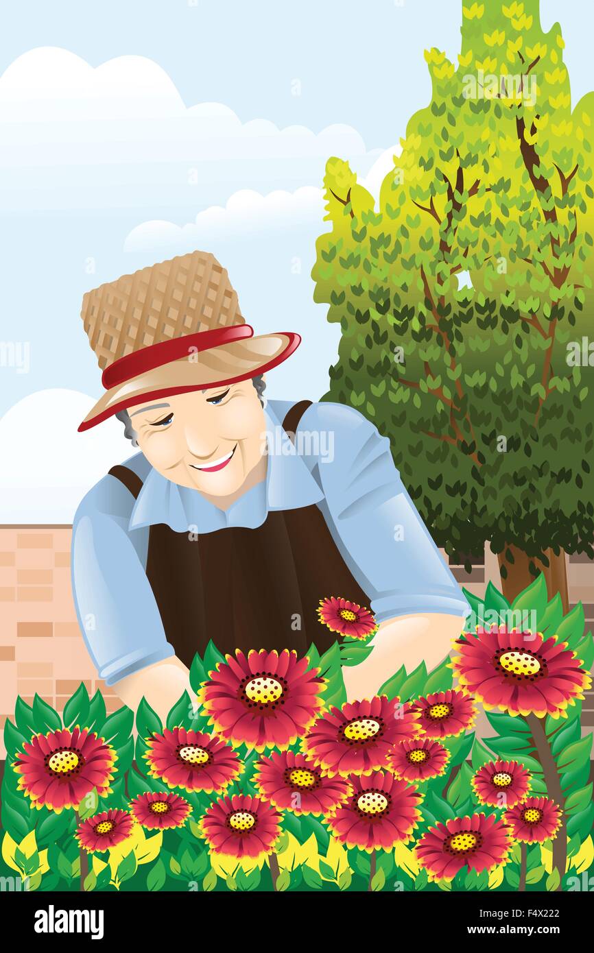 Una illustrazione vettoriale di bella donna senior di giardinaggio Illustrazione Vettoriale