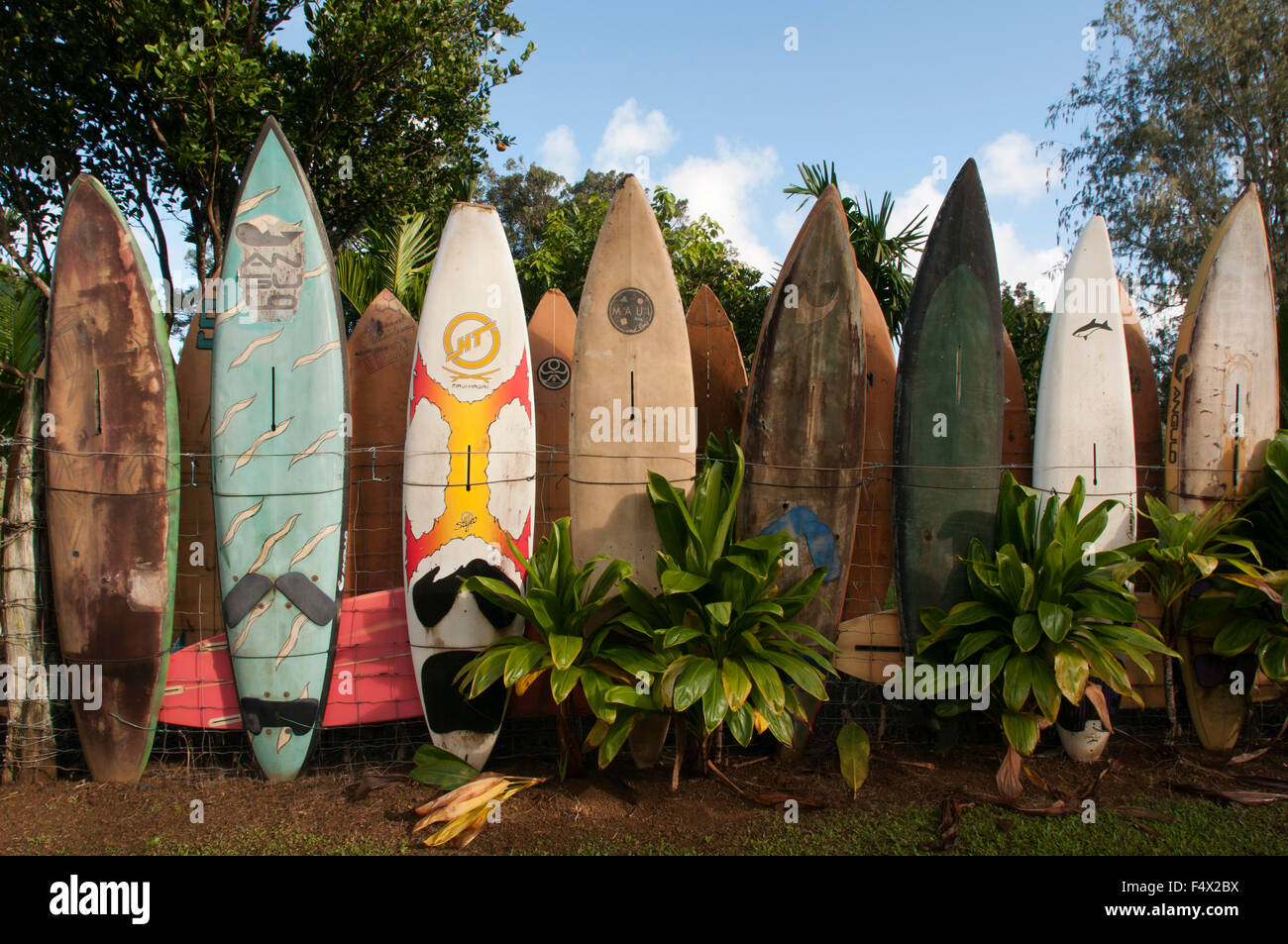 Tavole da surf decorazione in un giardino. Huelo. Hawaii. Huelo è una piccola comunità si trova lungo la strada di Hana (Hana autostrada). Ho Foto Stock