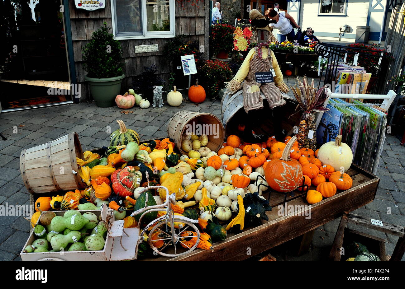 Il coito, Pennsylvania: centinaia di zucche e zucche offrono decorazioni d'autunno al bollitore Cucina Village Foto Stock