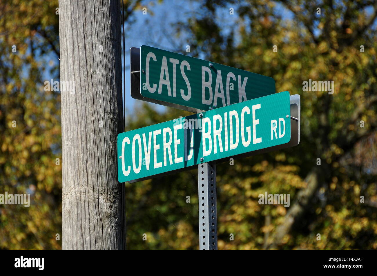 Goodville, Pennsylvania: Via segni sui gatti Back Road presso il fiume Conestoga ponte coperto sul ponte di coperta Road Foto Stock