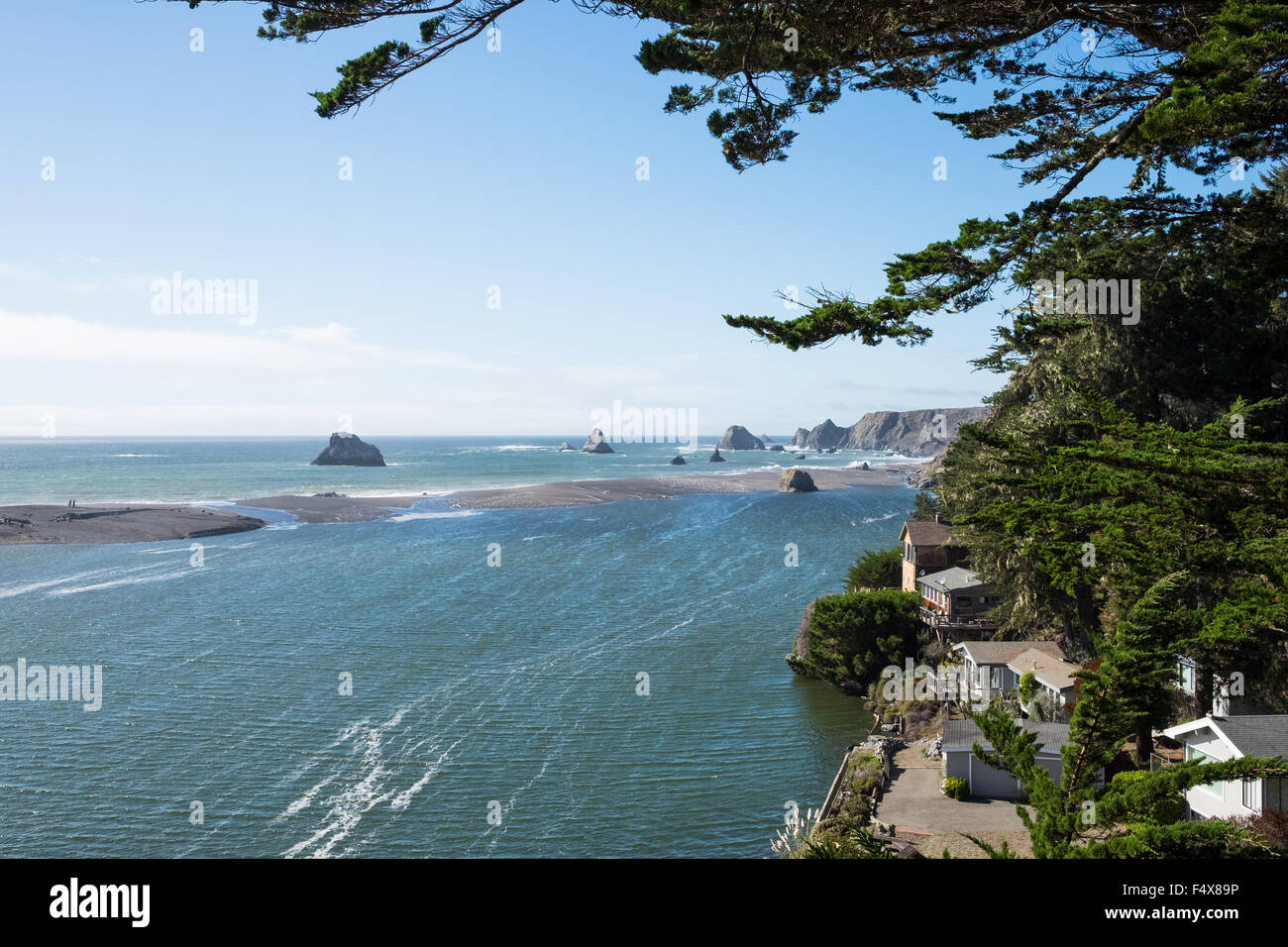 Vista di Jenner spiaggia lungo la costa della California. Foto Stock