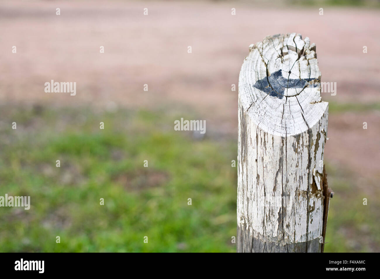 Vecchio arrugginito palo di legno con una freccia nera verniciata Foto Stock
