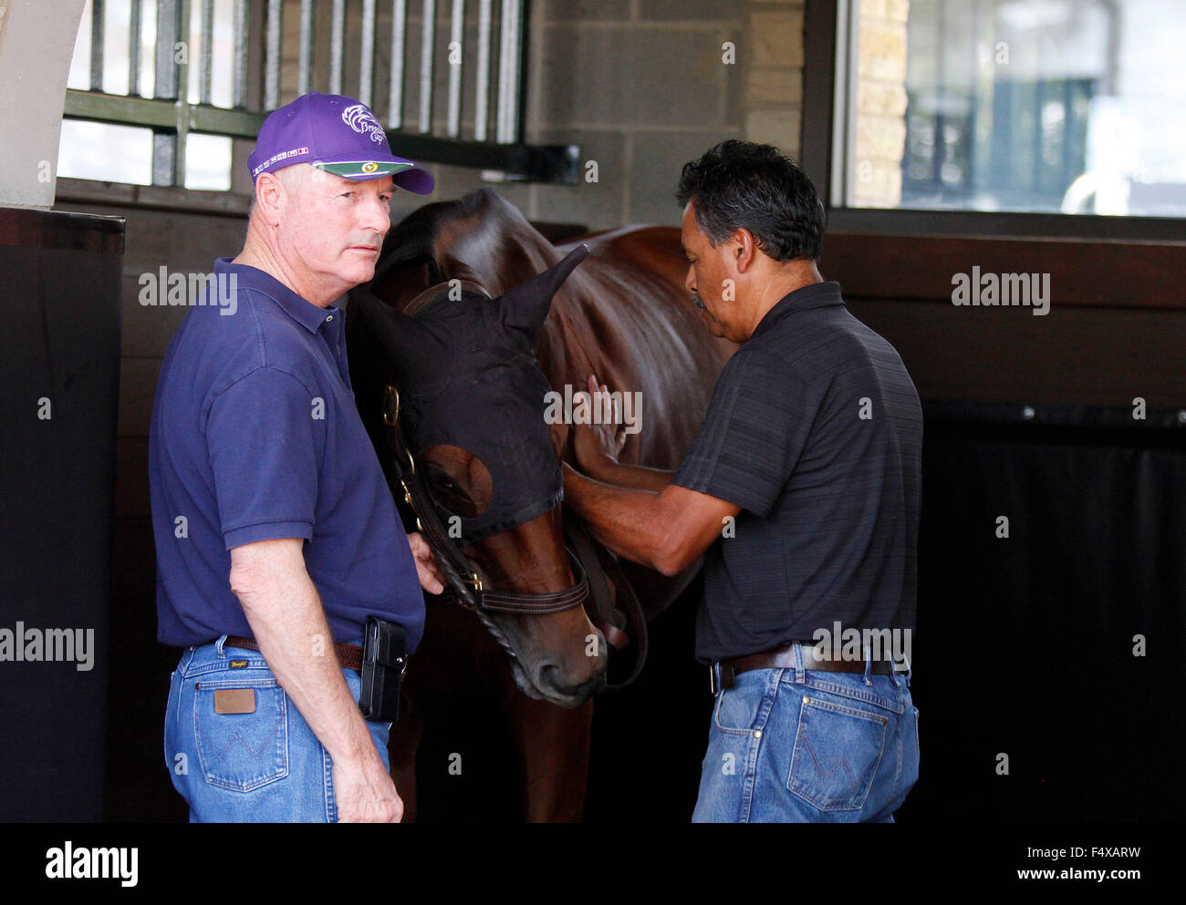 Lexington, KY, Stati Uniti d'America. 23 Ott, 2015. Ottobre 23, 2015: Beholder scolarizzazione nel paddock, addestrati da Richard Mandella, e proprietà di B. Wayne Hughes, cross iscritto al costitutore's Cup Classic Grado 1 $5.000.000 e il costitutore's Cup conocchia $2,000,000. Candice Chavez/ESW/CSM/Alamy Live News Foto Stock