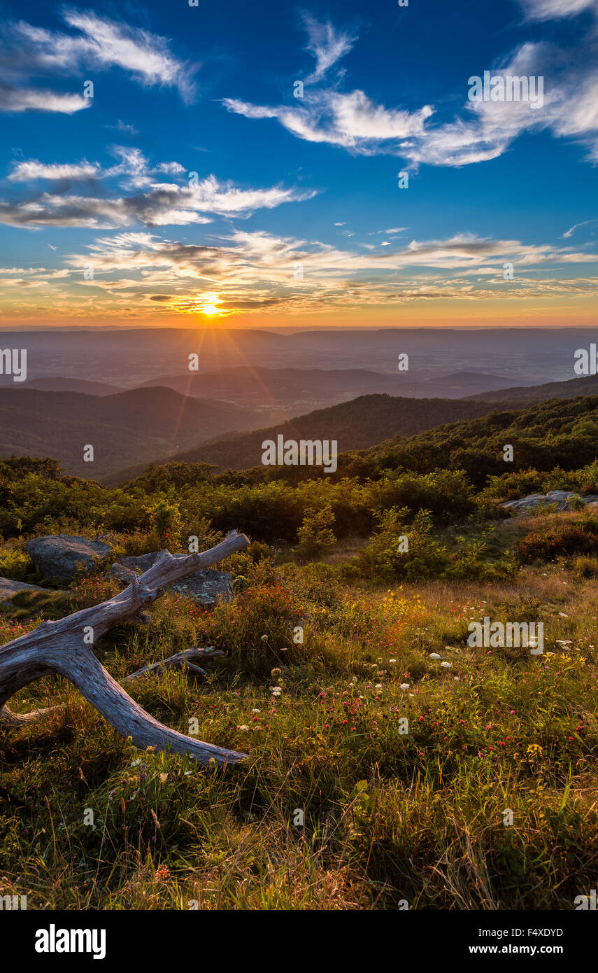 Tramonto sulla cava di legno si affacciano al Parco Nazionale di Shenandoah vicino a Thornton Gap, Virginia. Foto Stock