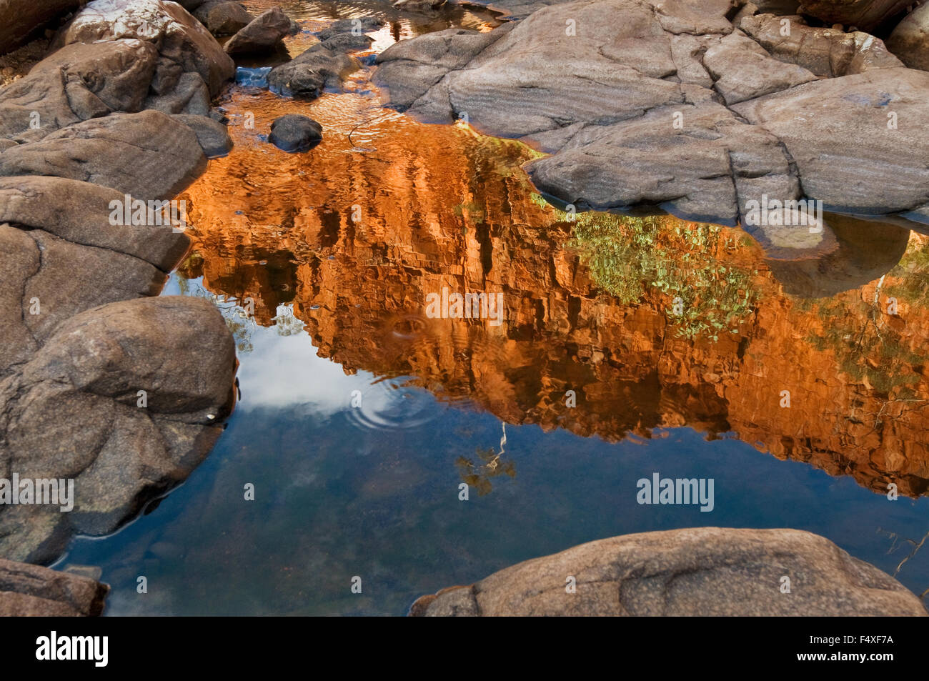 La riflessione di una parete di roccia in Ormiston Gorge. Foto Stock