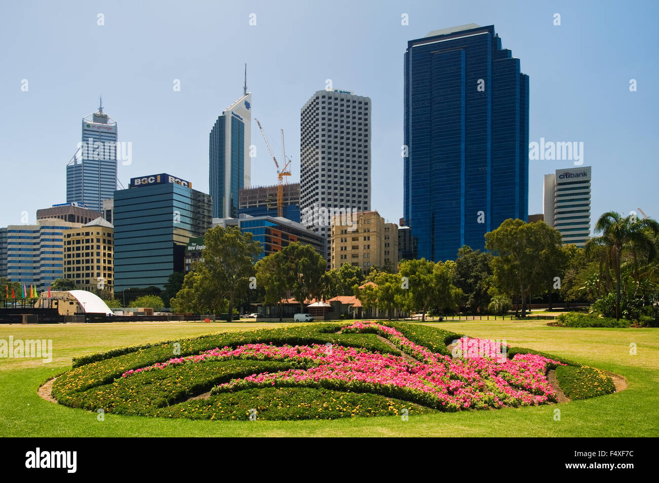 Disposizione del fiore di fronte dello skyline di Perth. Foto Stock