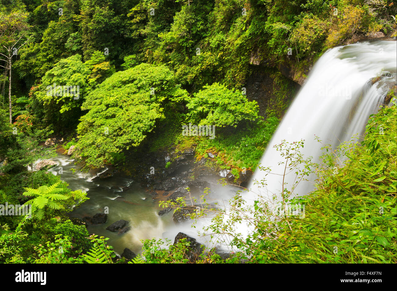 Cascate di Zillie nel Tropical North Queensland. Foto Stock