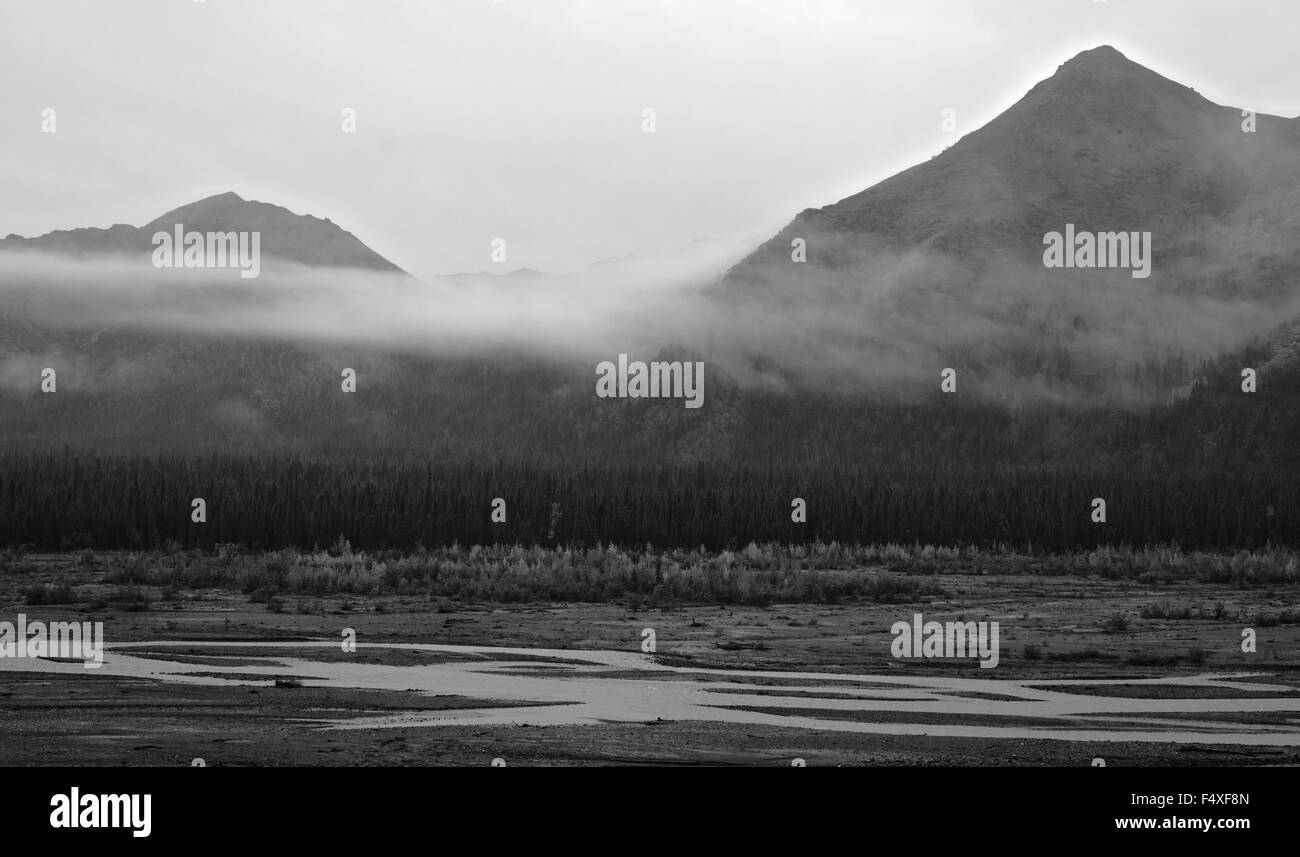 Una scena mi sono imbattuto in mentre backpacking in Alaska Foto Stock