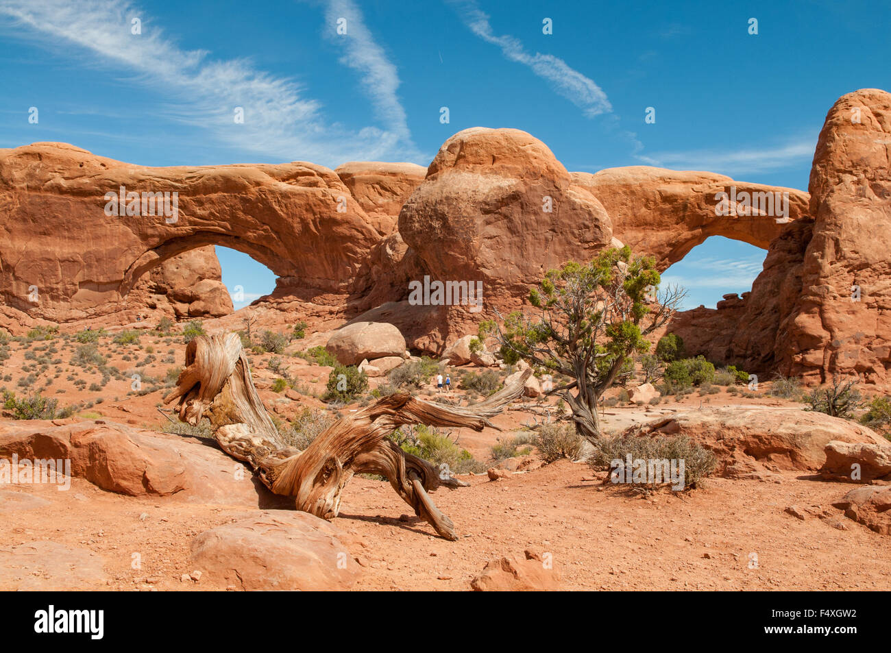 A nord e a sud di Windows, archi NP, Utah, Stati Uniti d'America Foto Stock