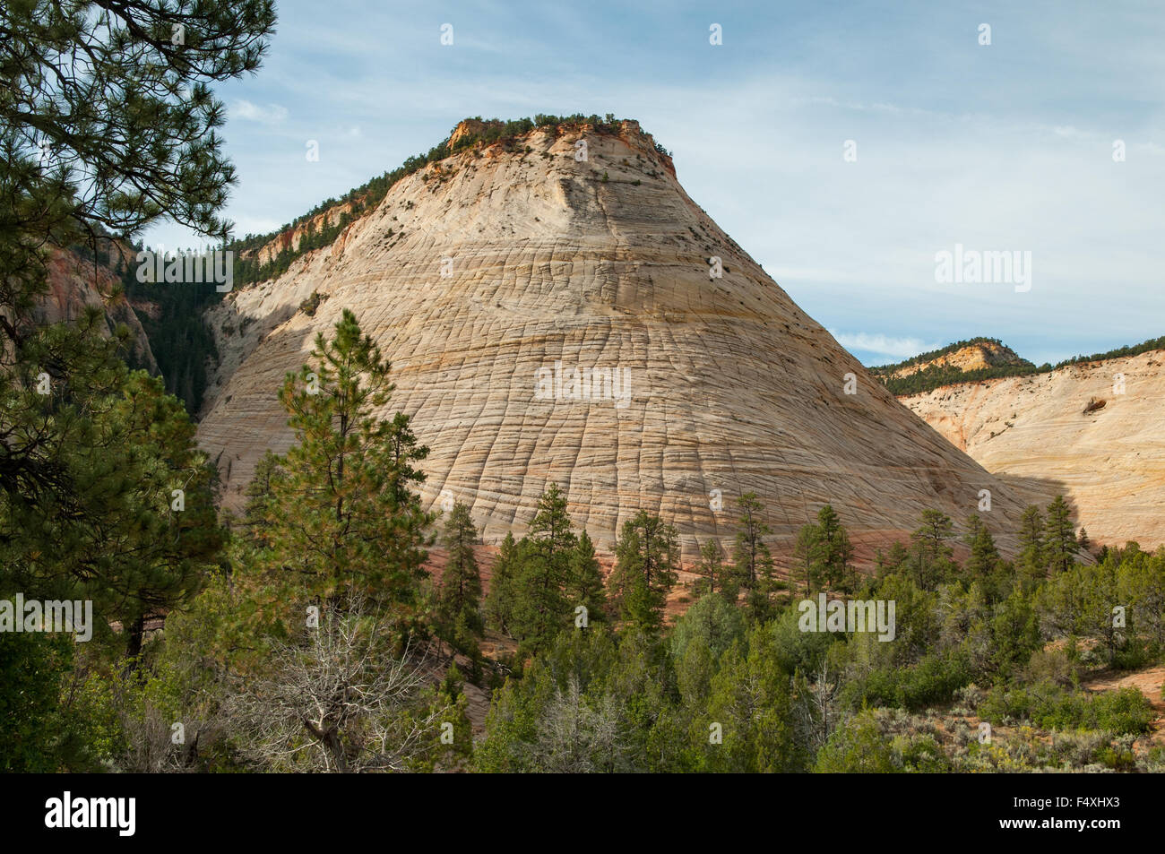 La Checkerboard Mesa in Oriente Sion NP, Utah, Stati Uniti d'America Foto Stock