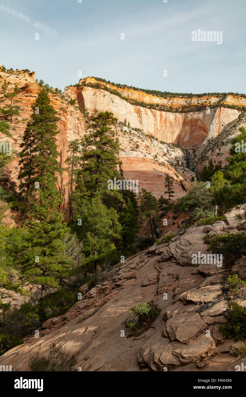 Mesa in Oriente Sion NP, Utah, Stati Uniti d'America Foto Stock