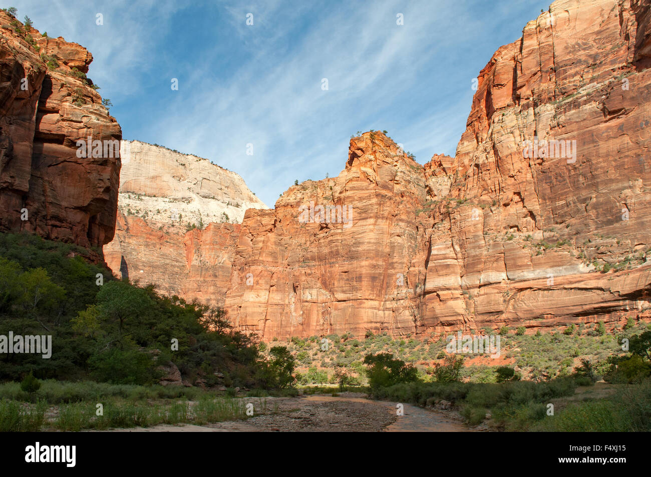 View near piangendo Rock, Sion NP, Utah, Stati Uniti d'America Foto Stock