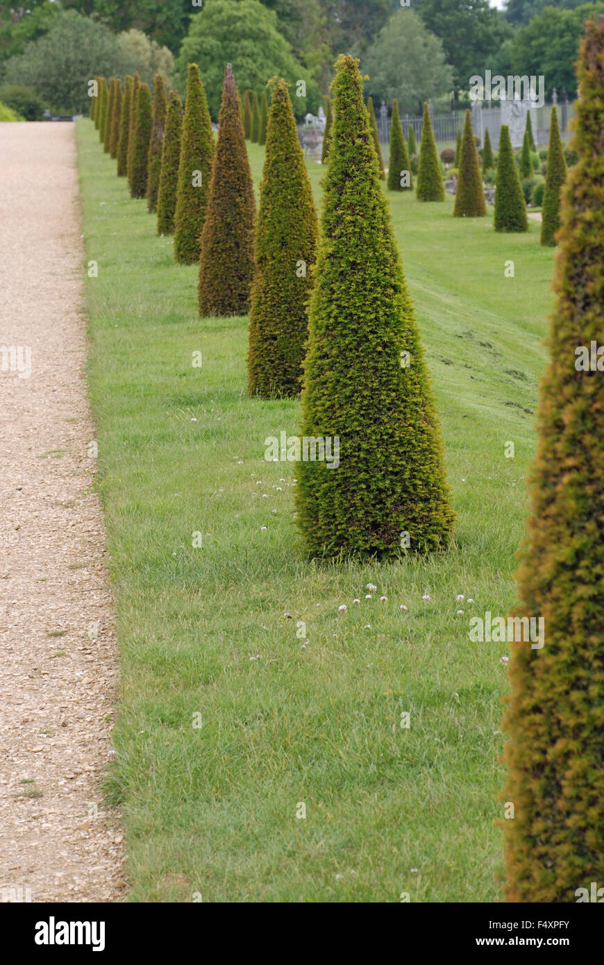 Ammenda rifilato tagliare i picchi di topiaria da pungenti hedge a Hampton Court Gardens, Londra Inghilterra Foto Stock