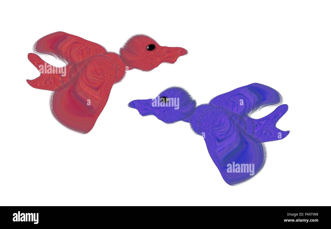 Due anatre colorate sono isolati su sfondo bianco Foto Stock