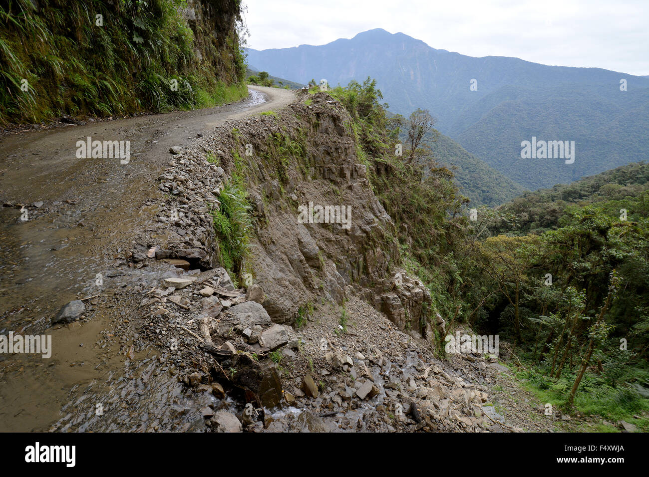 La morte road, camino de la muerte, yungas north road tra la paz e coroico,  Bolivia Foto stock - Alamy