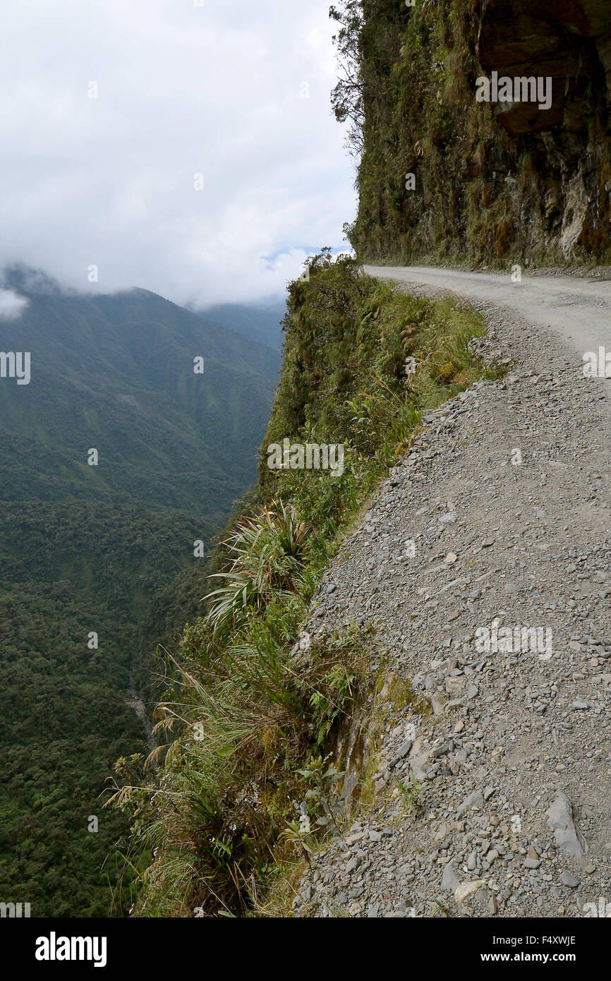 La morte road, camino de la muerte, yungas north road tra la paz e coroico,  Bolivia Foto stock - Alamy