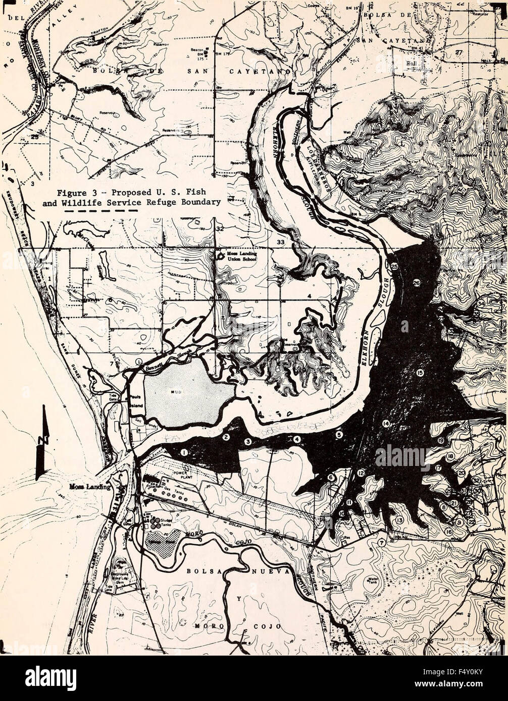 Elkhorn Slough estuari Santuario : proposte di estuari santuario concedere il premio per la Elkhorn Slough, Monterey County, California / Foto Stock