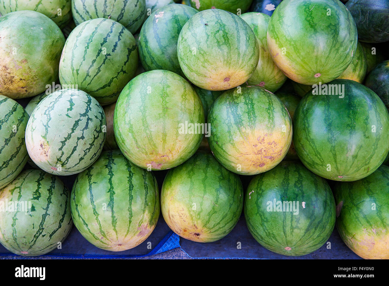 I cocomeri. Freschi cocomeri sul display in un mercato di domenica. Messa a fuoco selettiva con profondità di campo ridotta. Foto Stock