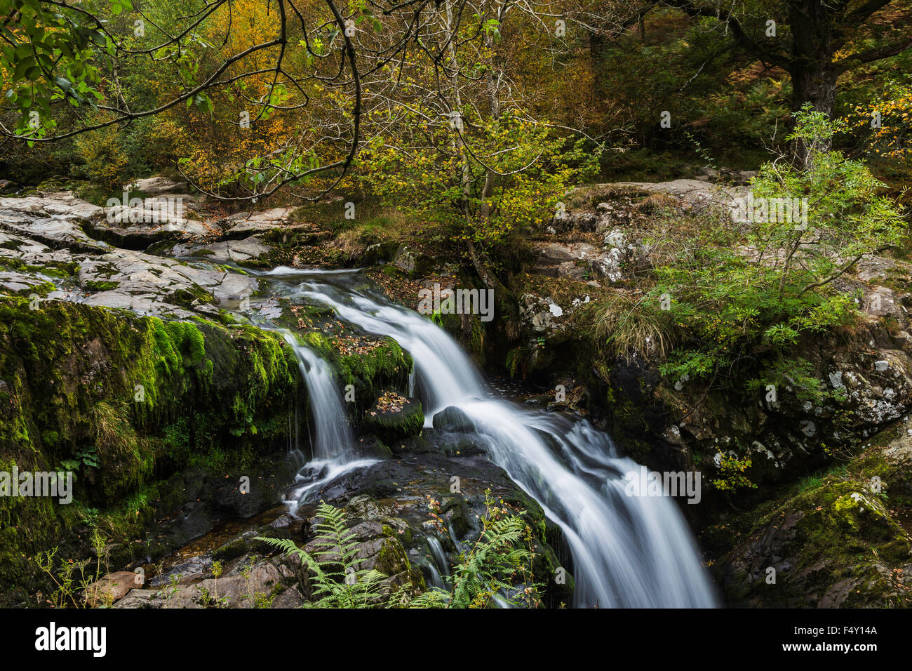 Cascata a Aira Force vicino a Ullswater Foto Stock