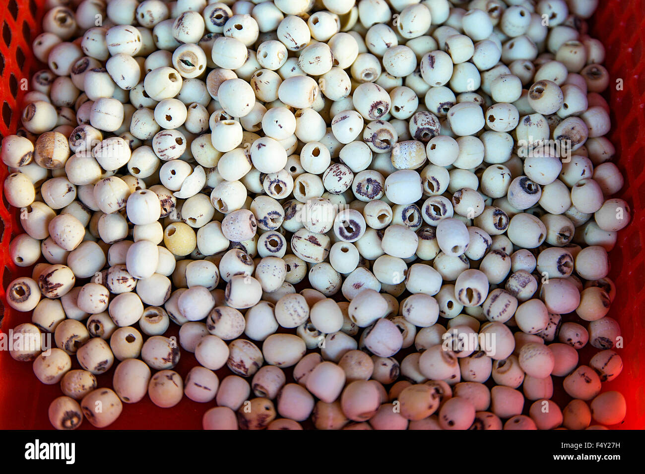 Chiudere fino alle erbe cinesi di orzo perlato la vendita a livello locale mercato di domenica. Punta di messa a fuoco al centro e poco profonde DOF. Foto Stock