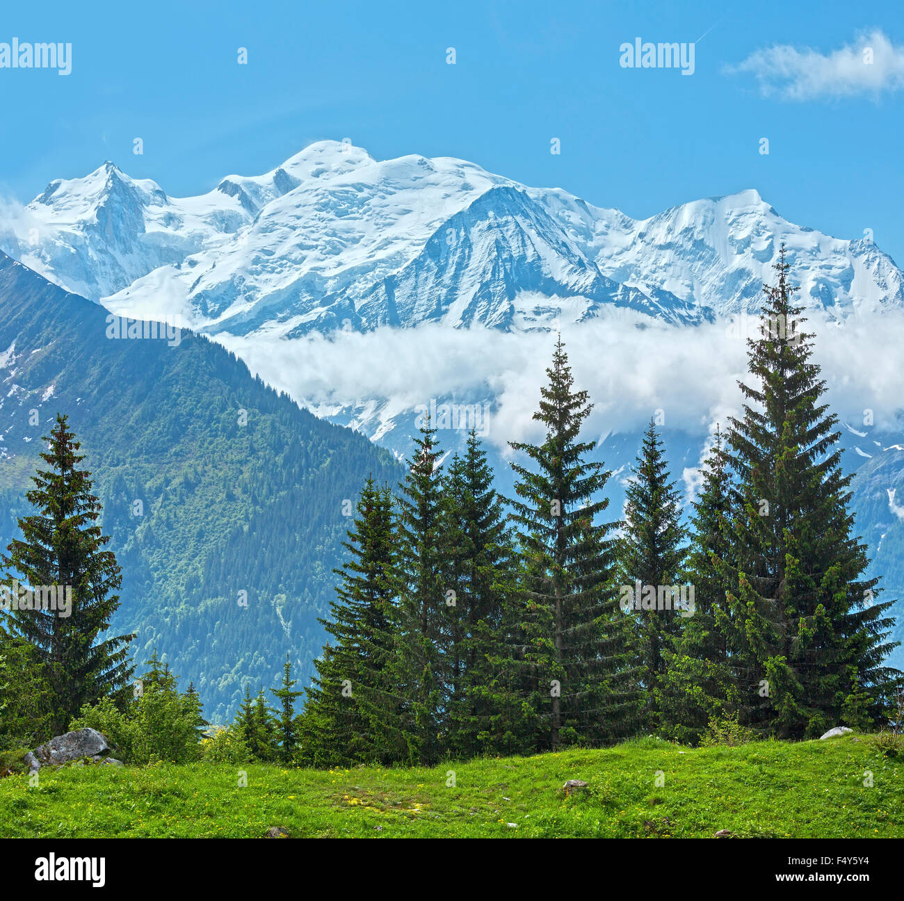 Mont Blanc massiccio montuoso (valle di Chamonix, Francia, vista da Plaine Joux periferia). Foto Stock
