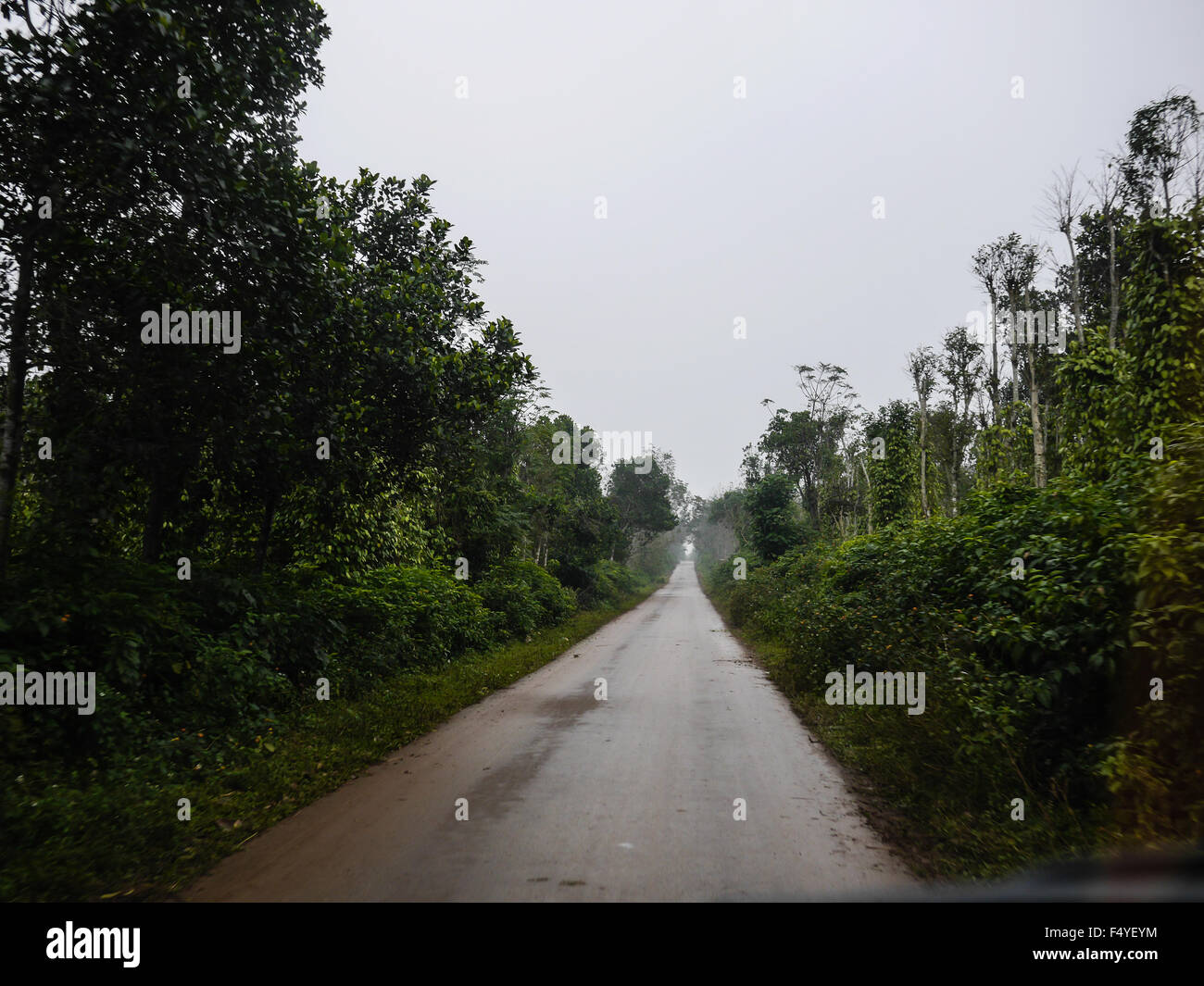 Strada desolata in Vietnam Foto Stock