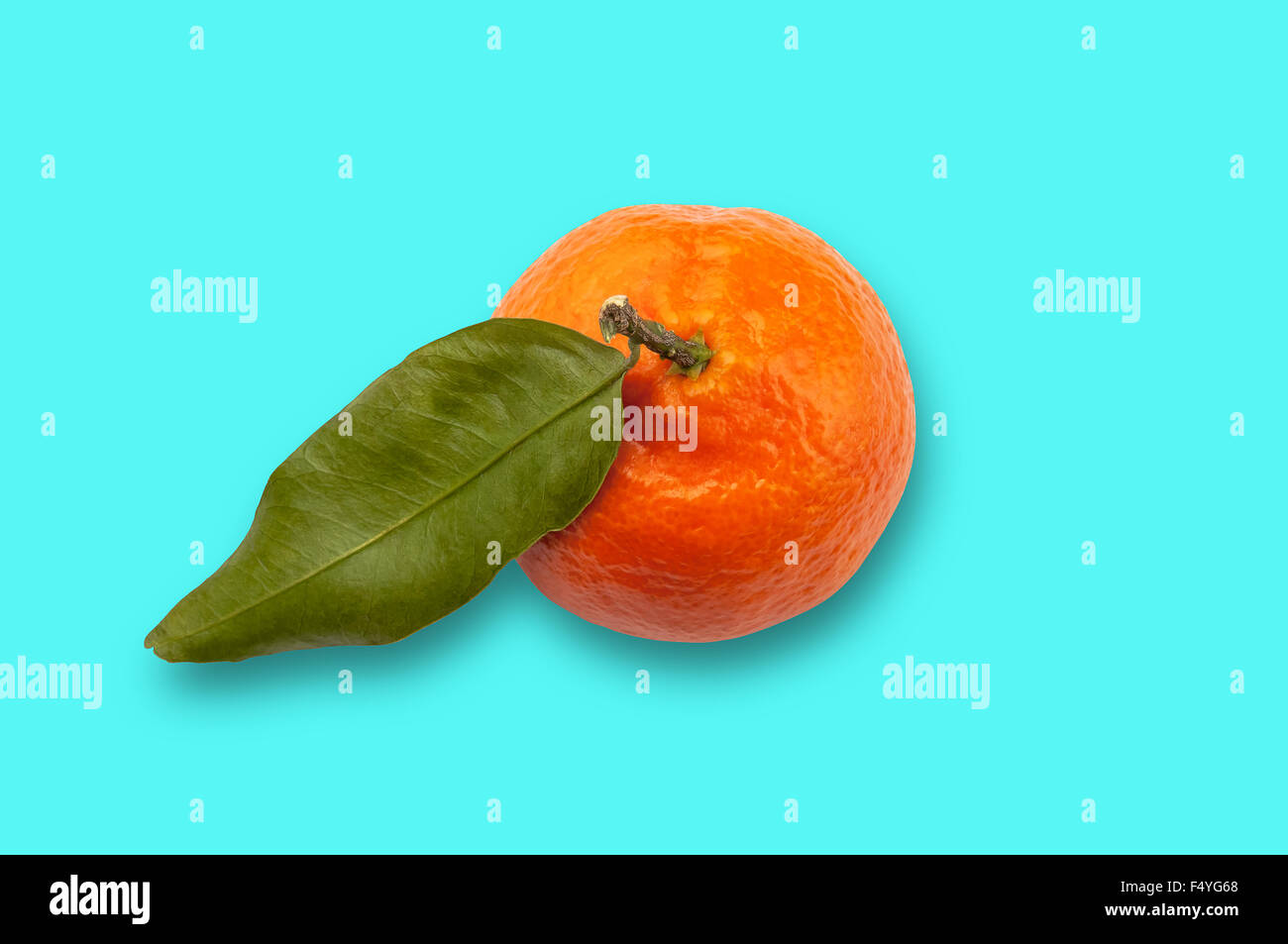 Unico frutto Satsuma percorso di clipping turchese sfondo blu Foto Stock
