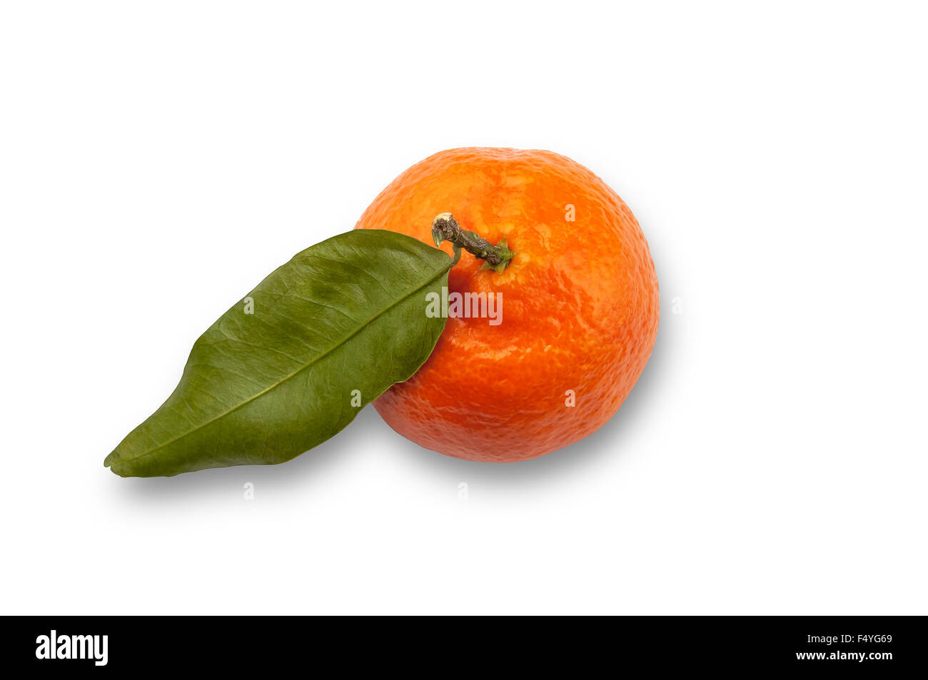 Unico frutto Satsuma tracciato di ritaglio sfondo bianco Foto Stock