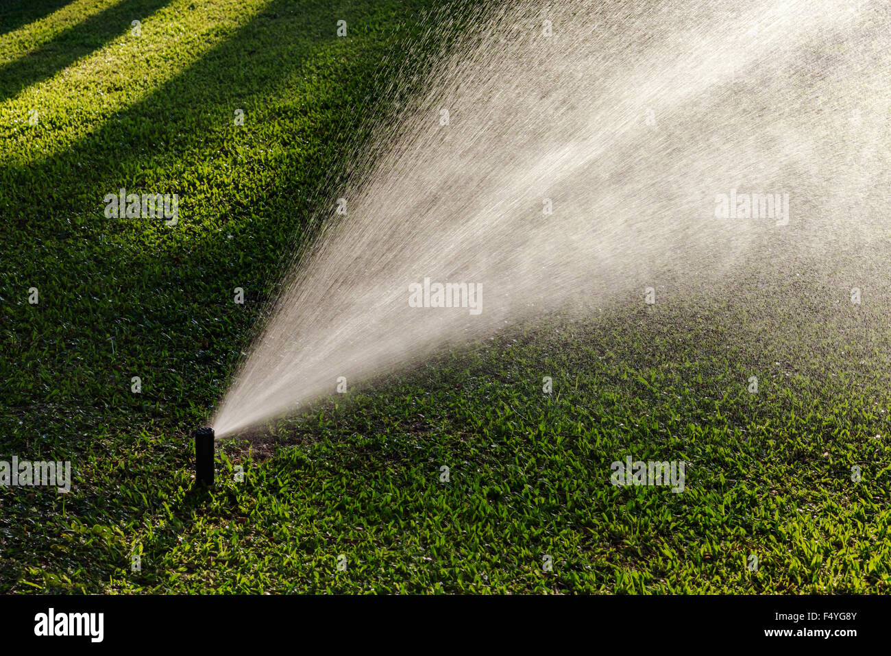 Giardino prato sprinkler Manutenzione impianto di irrigazione Foto Stock