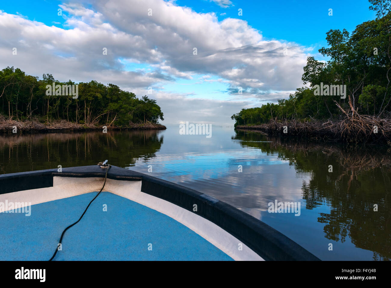 La pesca in barca Caroni Swamp Trinidad e Tobago foce Foto Stock