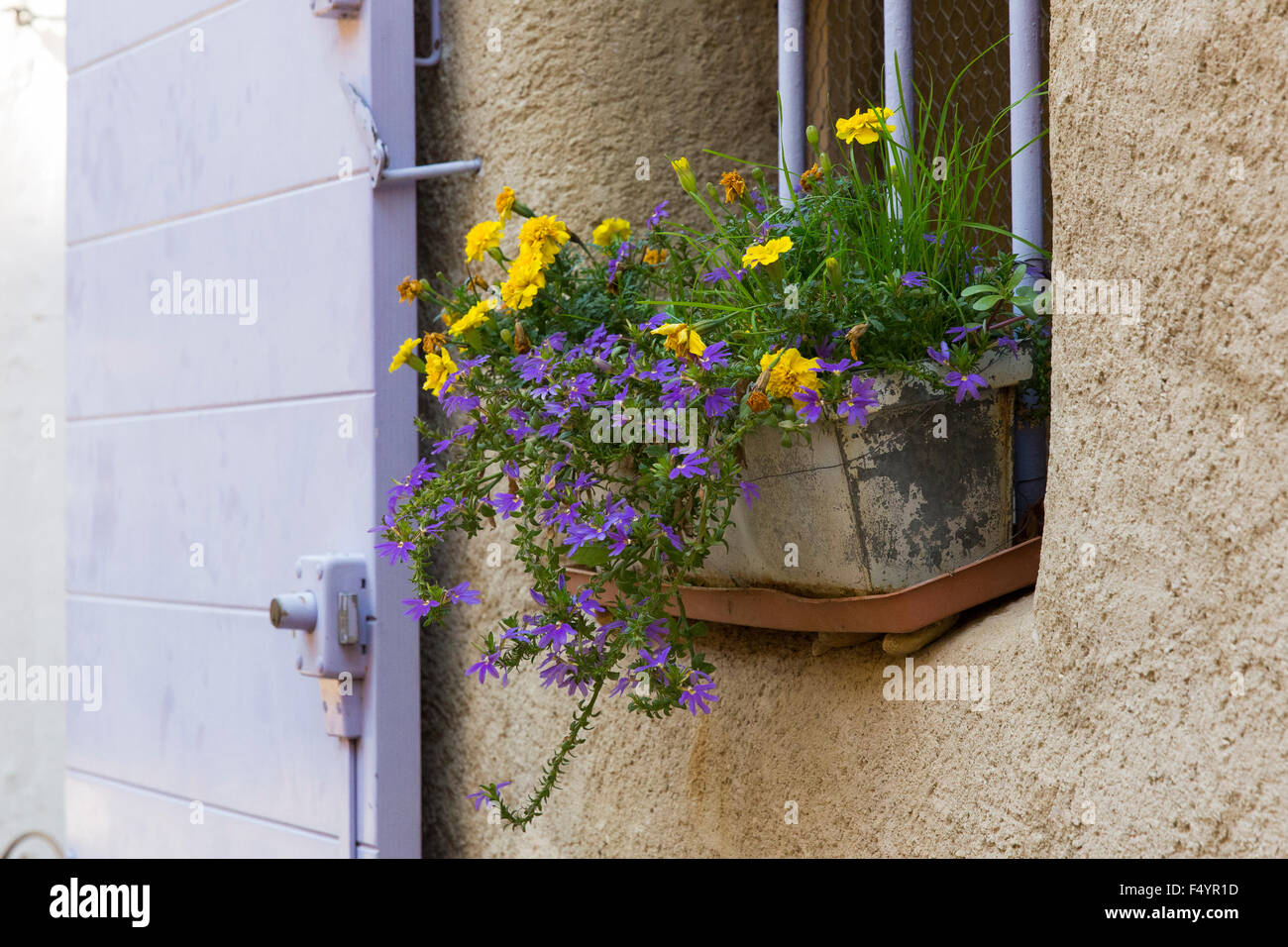 Blumenkasten am Fenster einen Hauses in Lourmarin, Vaucluse, Provence-Alpes-Côte d'Azur, Frankreich Foto Stock