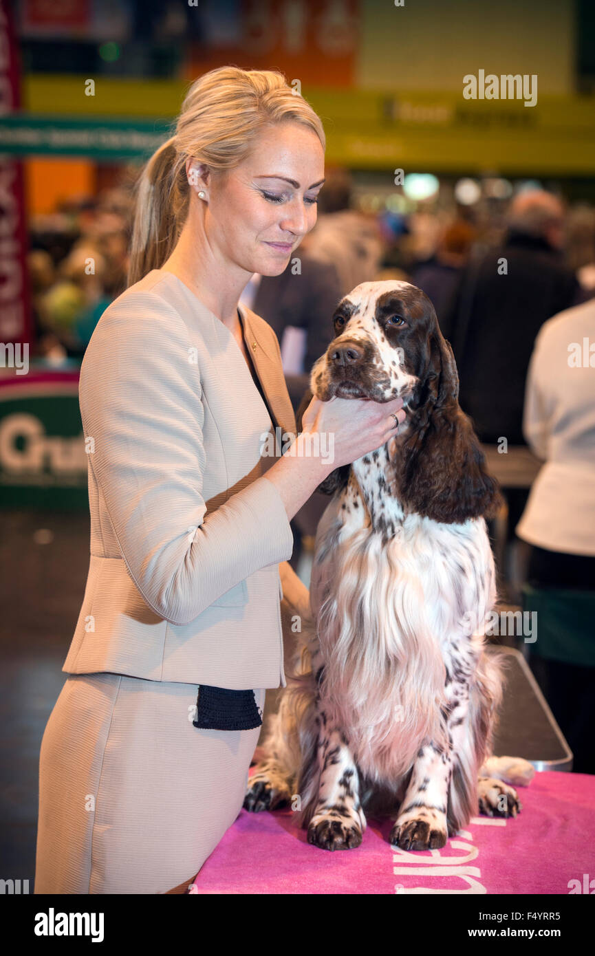 Il Crufts dog show al NEC di Birmingham Regno Unito - Vibe Madsen dalla Danimarca con il suo inglese Springer Spaniel Foto Stock