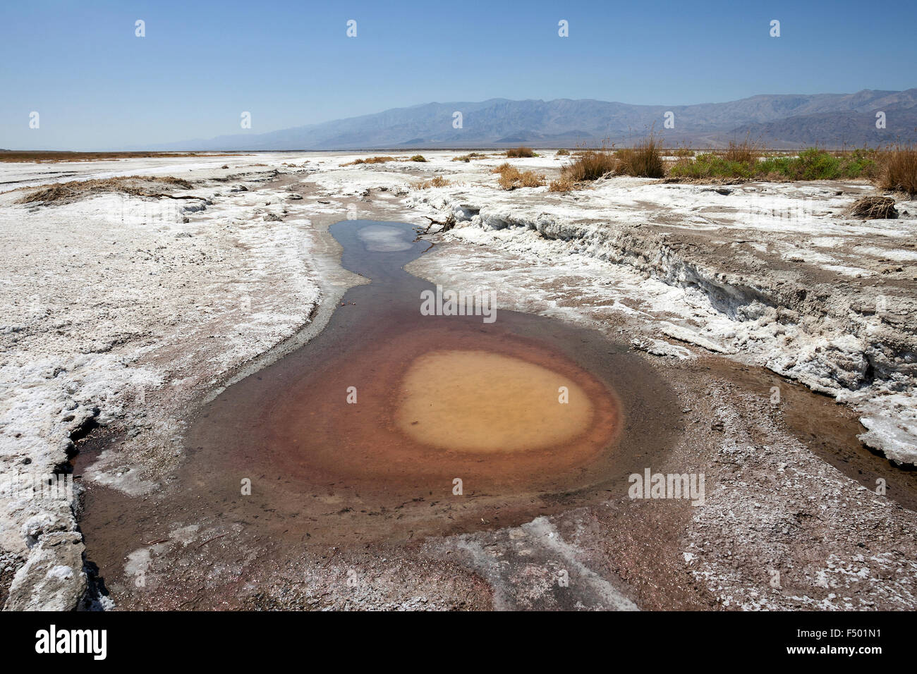 Bacino di sale, nei pressi di Furnace Creek, gamma Panamint dietro le montagne nere, il Parco Nazionale della Valle della Morte, Deserto Mojave, California Foto Stock