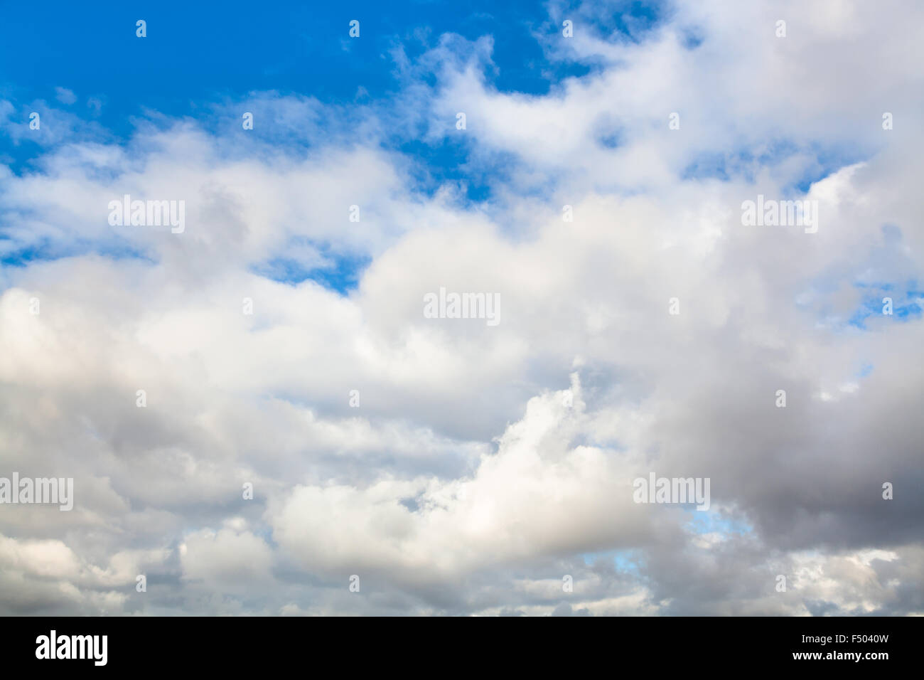 Sfondo naturale - bassa grigio e bianco autunno nuvole nel cielo blu sulla giornata di vento Foto Stock