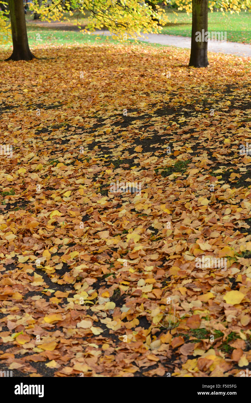 Londra, Regno Unito. Il 25 ottobre 2015. I colori autunnali a St James e Green Park il giorno gli orologi andare indietro di un'ora. © Matthew Cha Foto Stock